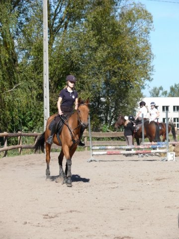 Babie Lato z Hucułami 2015